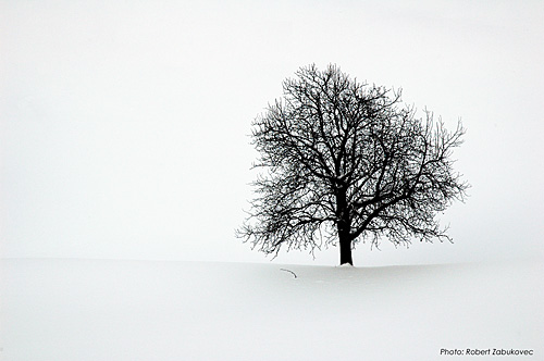 photo "Winter contrast" tags: landscape, winter