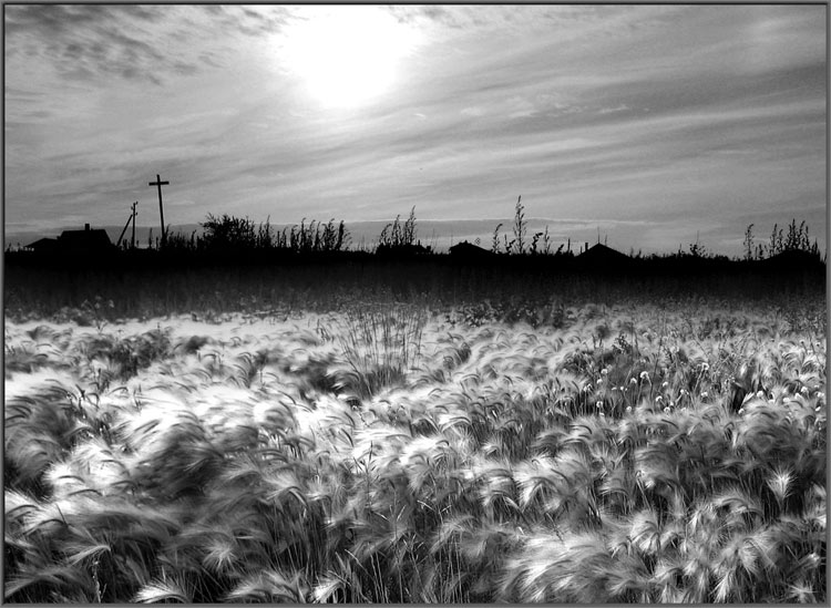 Черно белые картинки лето