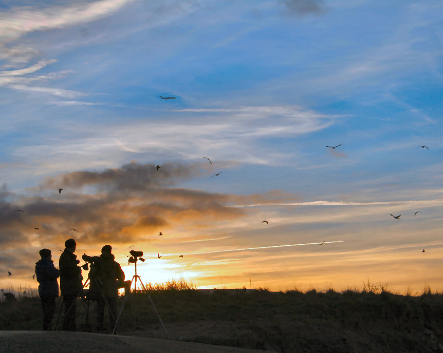 photo "***" tags: landscape, misc., sunset