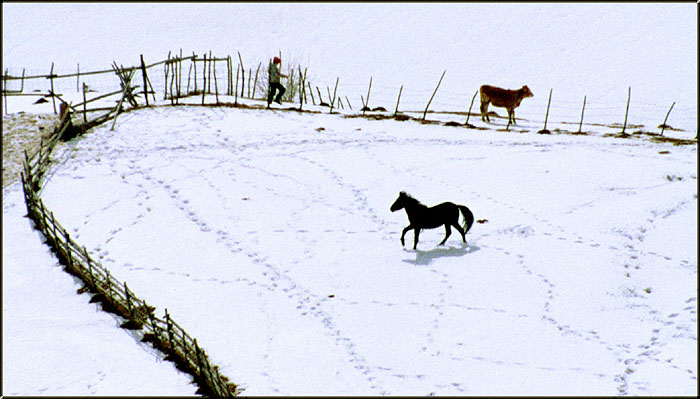 фото "a winter day" метки: пейзаж, путешествия, горы