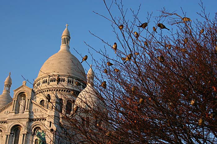 фото "Birds of the Sacre-Coeur" метки: архитектура, природа, пейзаж, дикие животные