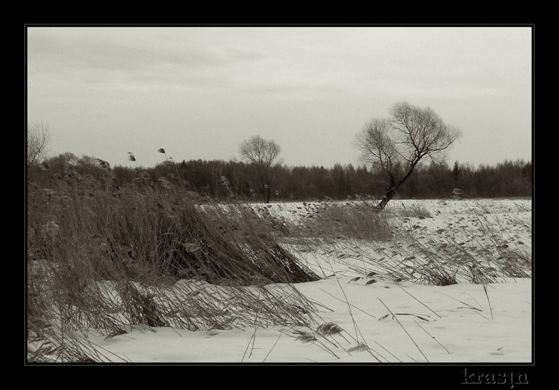 фото "Под натиском ветров" метки: пейзаж, зима