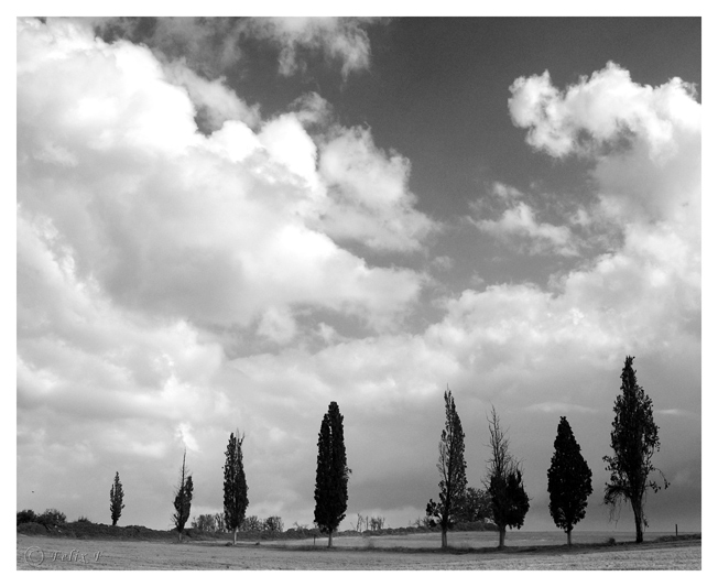 photo "Winter Day #2" tags: landscape, black&white, clouds