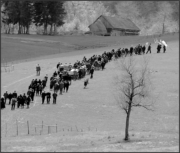 фото "ending a life" метки: черно-белые, репортаж, 