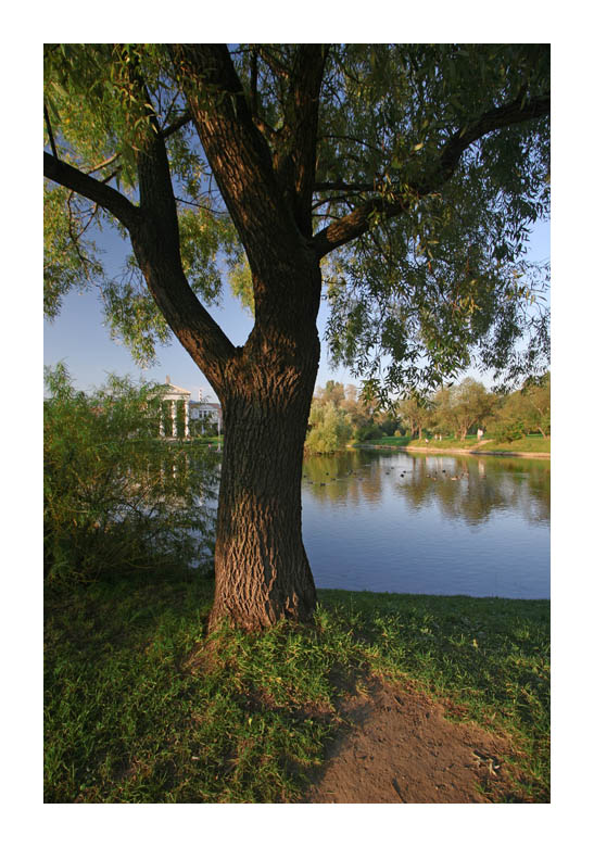 photo "parque Botanicheskiy... Moscu" tags: landscape, forest, water