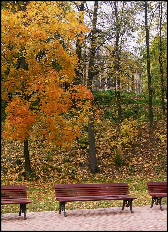 photo "***" tags: landscape, forest