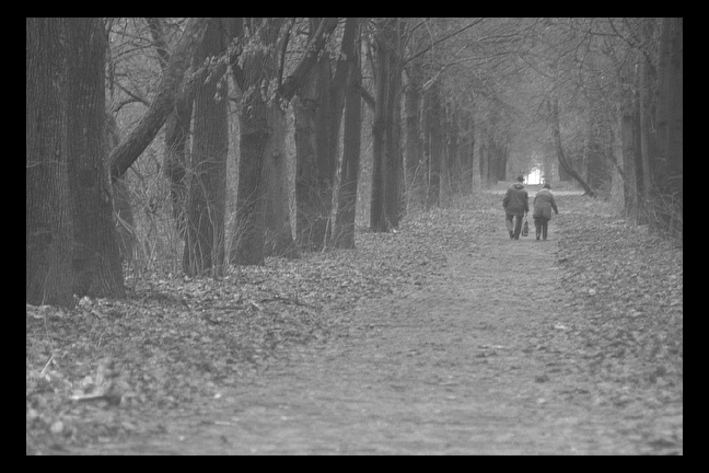 фото "Московская осенняя" метки: черно-белые, 