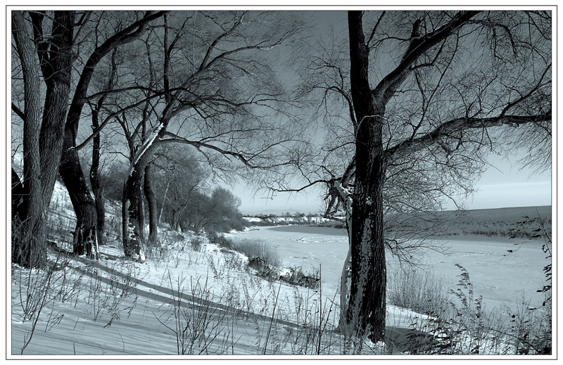 photo "Short december day" tags: landscape, black&white, winter