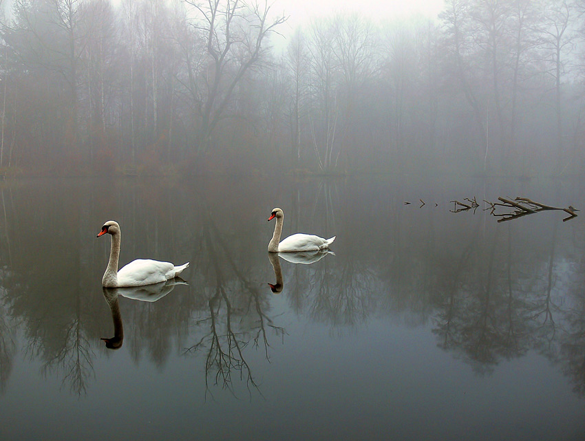 фото "***" метки: пейзаж, 