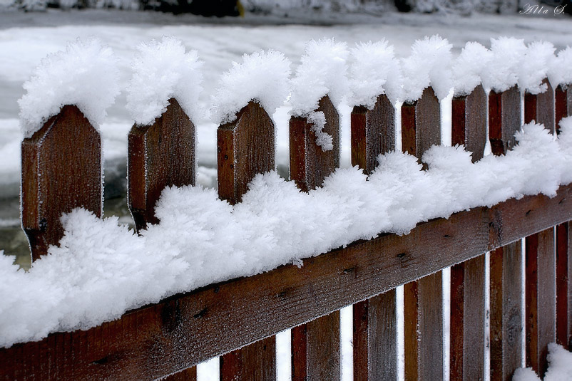 photo "***" tags: landscape, winter