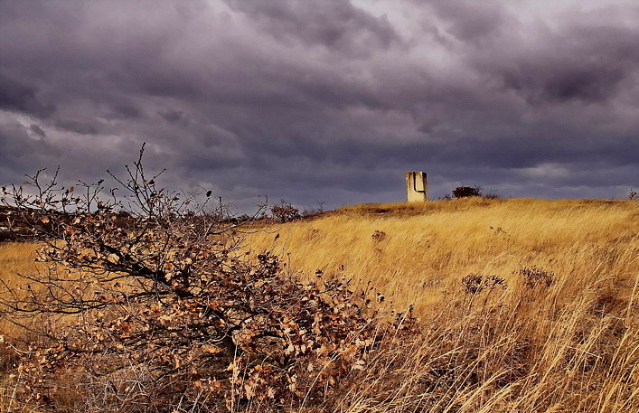 photo "Worship of wind" tags: landscape, 