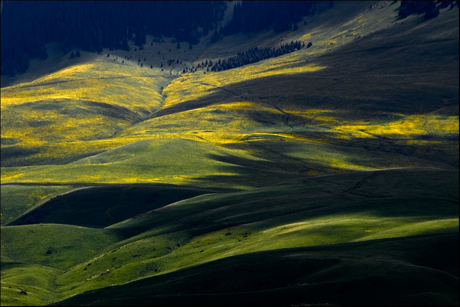 photo "Clouds on the Alpine meadow" tags: landscape, mountains, spring