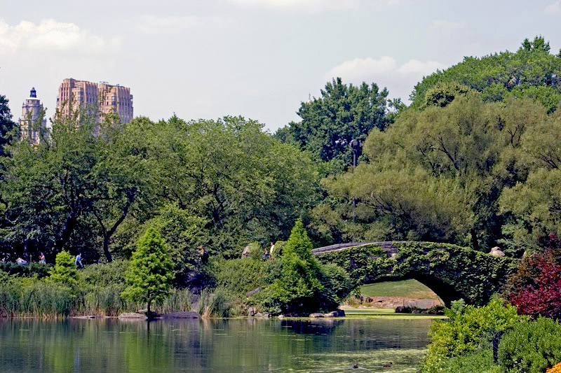 фото "Central Park Bridge NY" метки: природа, 