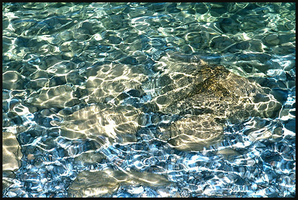 фото "Water" метки: пейзаж, вода, лето