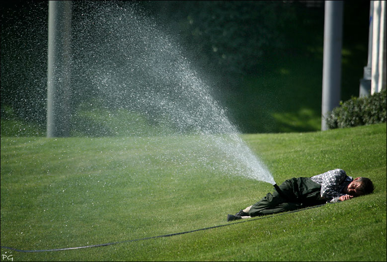 Лето жара картинки прикольные картинки