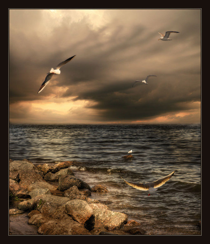 photo "Seagulls" tags: landscape, montage, water