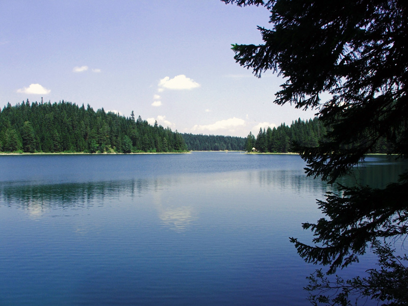 фото "Glacier lake" метки: пейзаж, вода