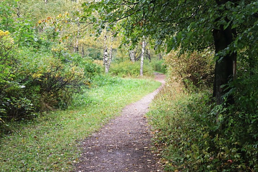 photo "Tte autumn beginning" tags: landscape, nature, autumn