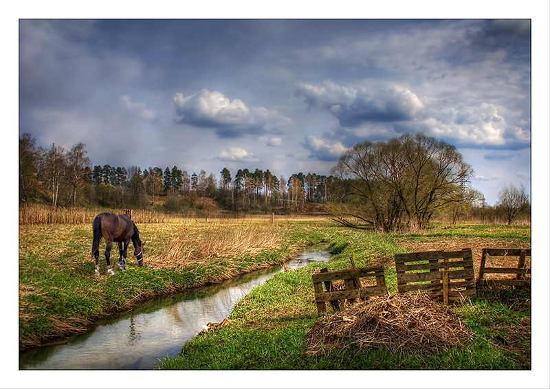 photo "Spring landscape" tags: landscape, spring