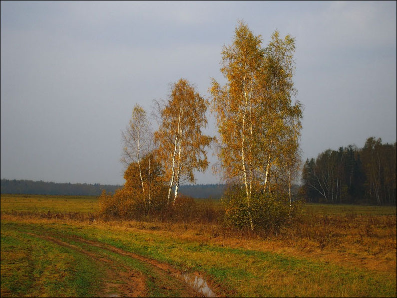 photo "Aunumn." tags: landscape, autumn