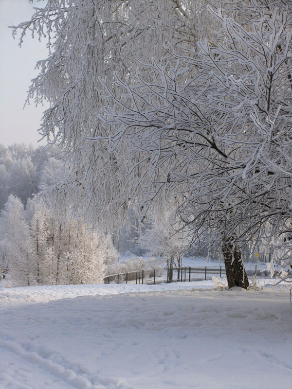 photo "***" tags: landscape, winter