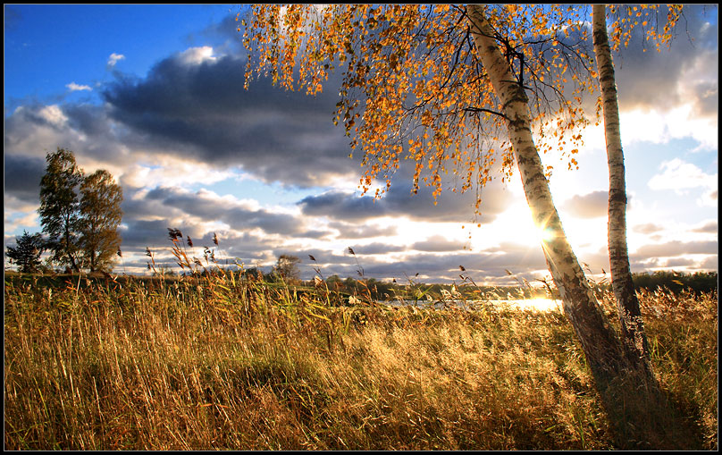 Родной край картинки