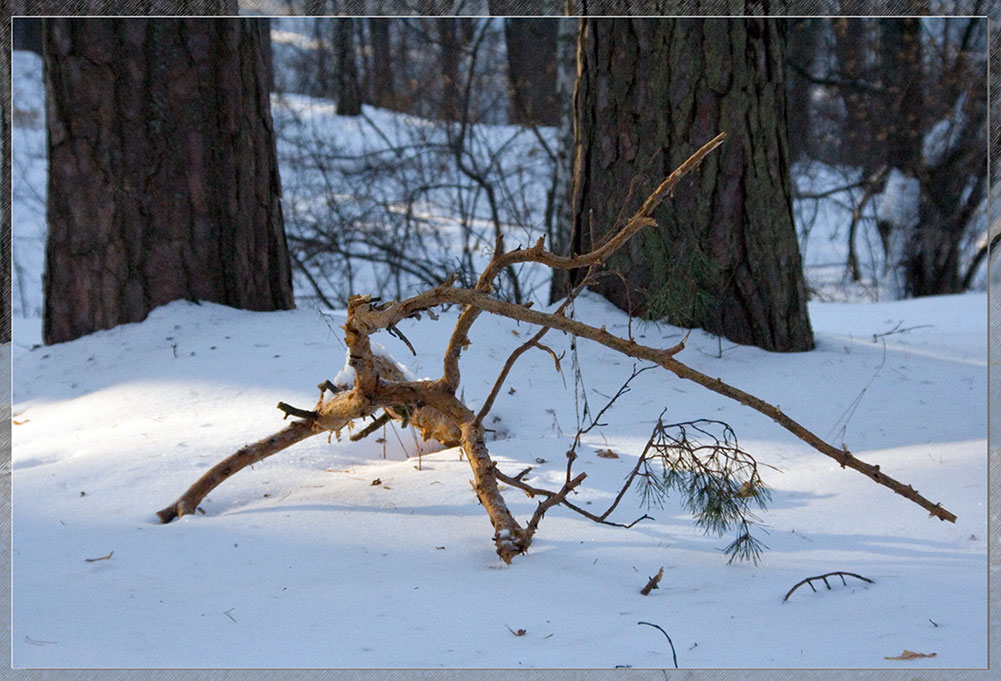 photo "***" tags: landscape, winter