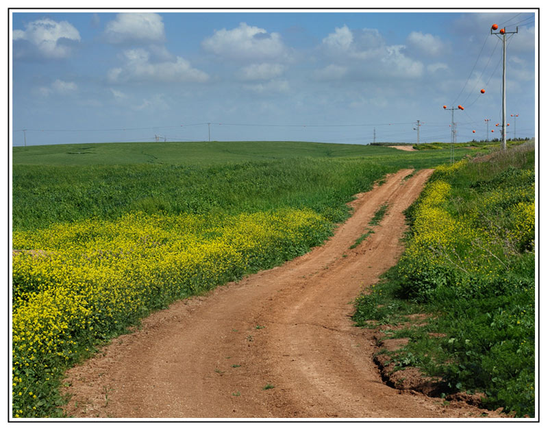 фото "Дорогой дальнею..." метки: пейзаж, путешествия, 