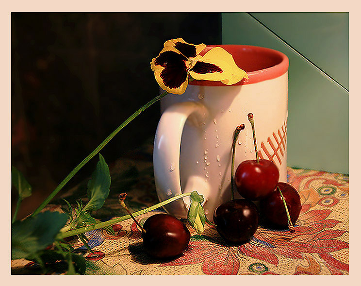 photo "The eyes" tags: still life, nature, flowers