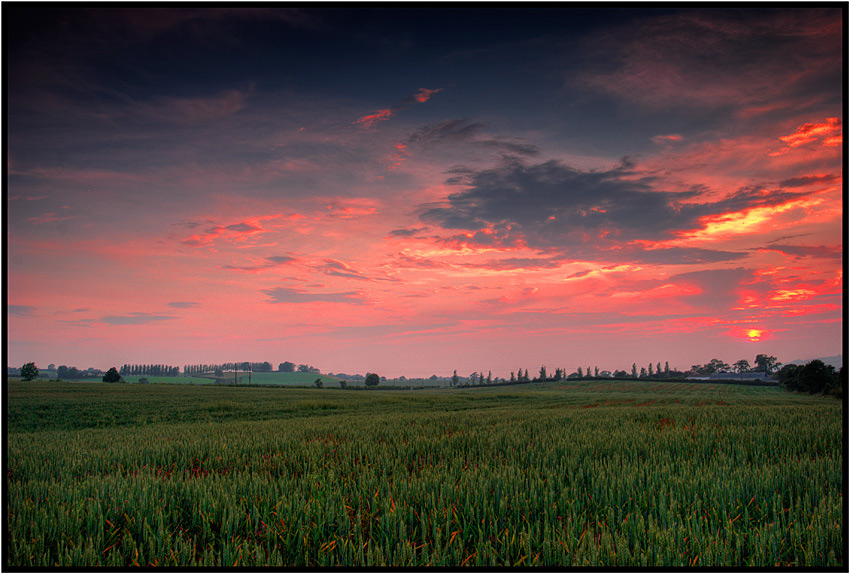 photo "Irish Fields" tags: landscape, sunset