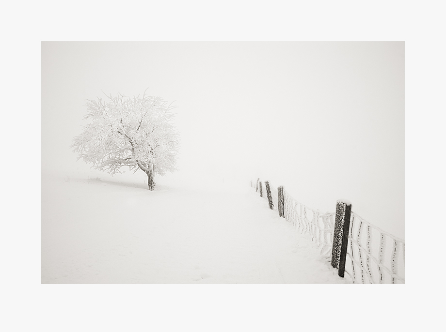 фото "a winter's tale" метки: пейзаж, черно-белые, зима