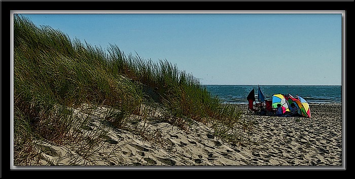 photo "Beach Outing" tags: landscape, travel, North America, summer