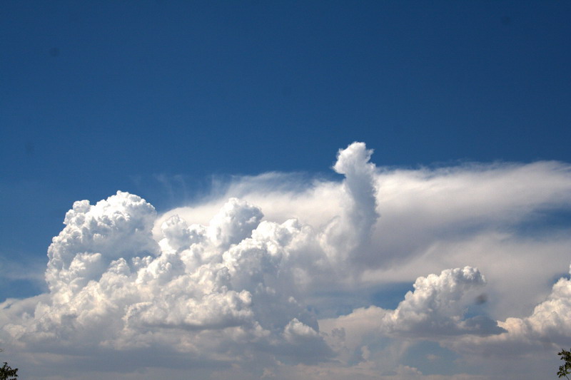 фото "просто небо))) и облако похожее на слона" метки: пейзаж, разное, облака