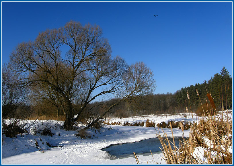 фото "Полынья" метки: пейзаж, зима