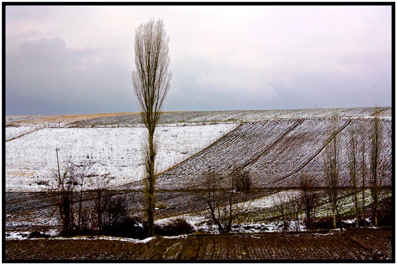 photo "Landscape nier Mozgovo" tags: landscape, 