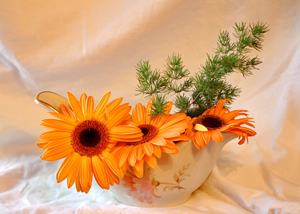 Теплые пожелания дня женщине. Добрые пожелания. Герберы с добрыми пожеланиями. Доброе утро оранжевые цветы. Красивые теплые пожелания.