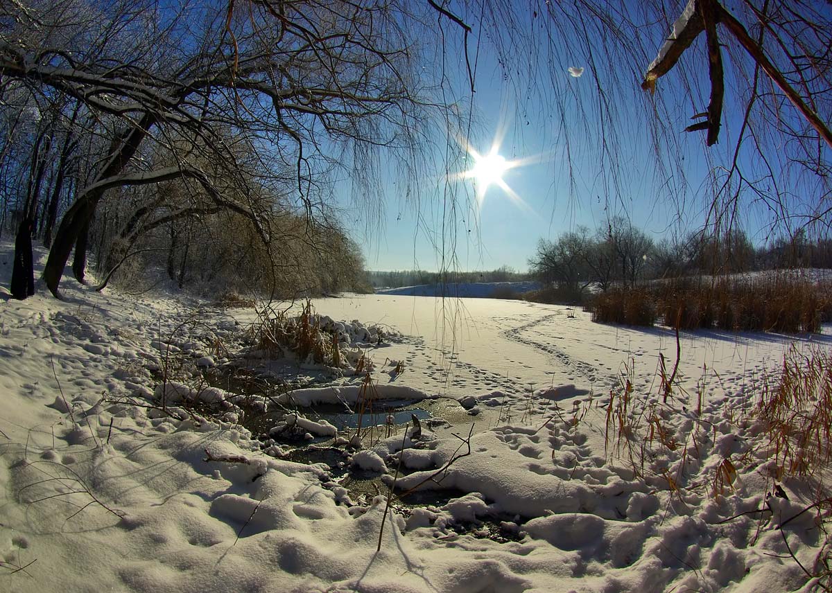 фото "Проталинки" метки: пейзаж, зима