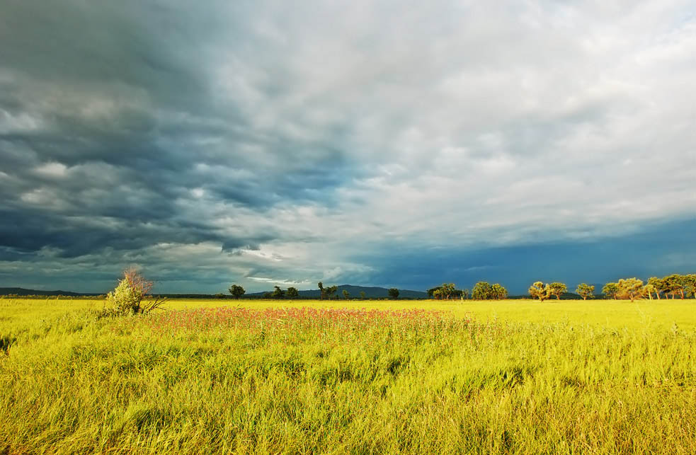 photo "***" tags: landscape, summer