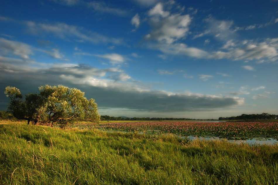 photo "***" tags: landscape, summer