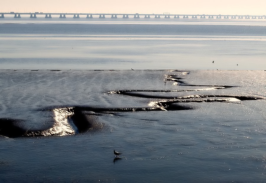 фото "Tracks on the Tagus River..." метки: пейзаж, вода, ночь