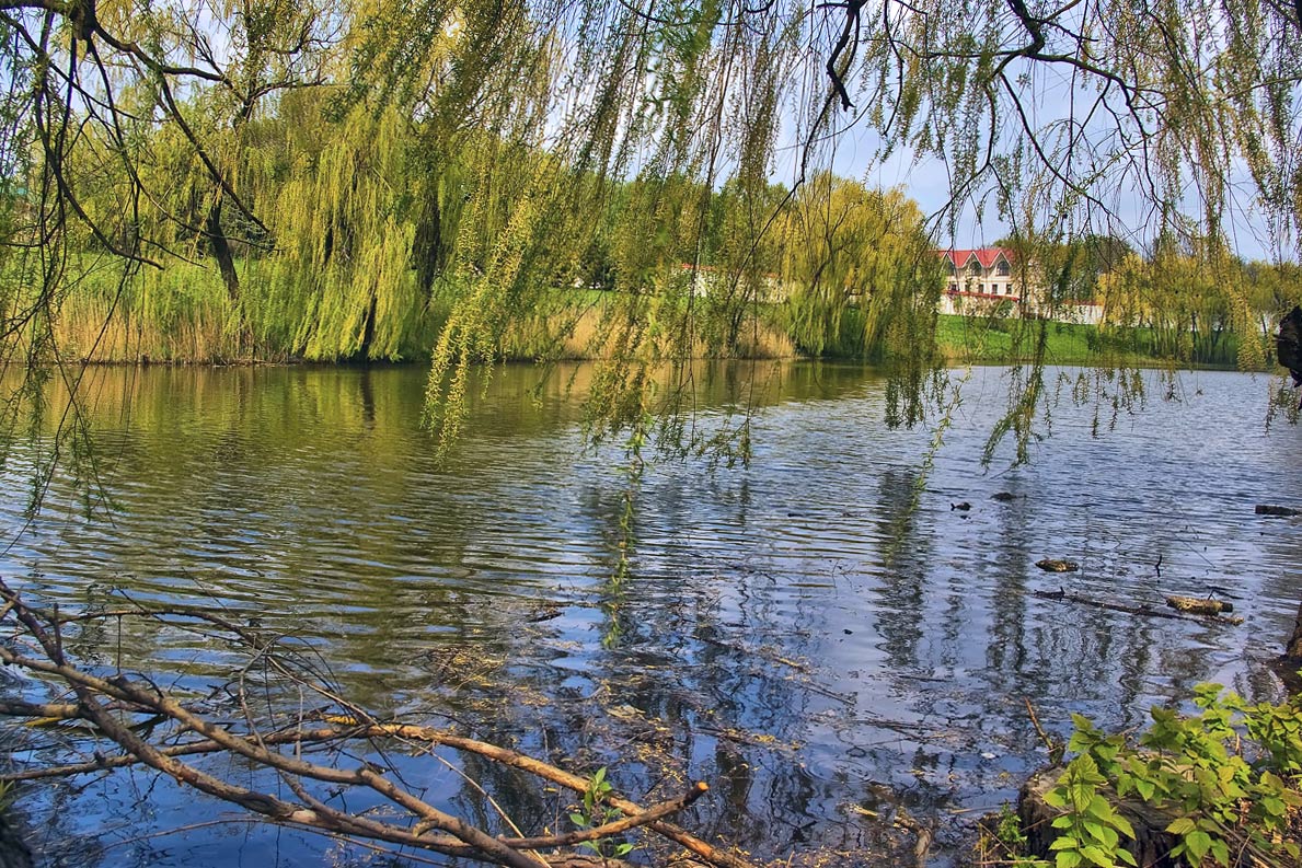 photo "***" tags: landscape, spring, water