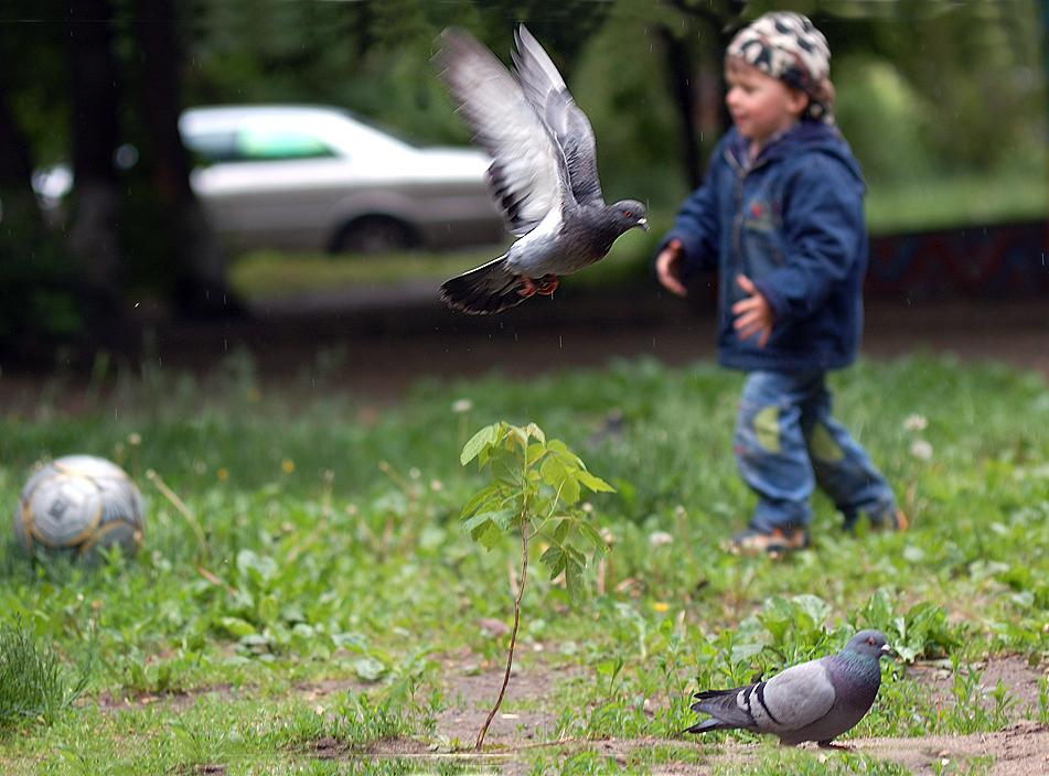 photo "Football and dove" tags: genre, portrait, children