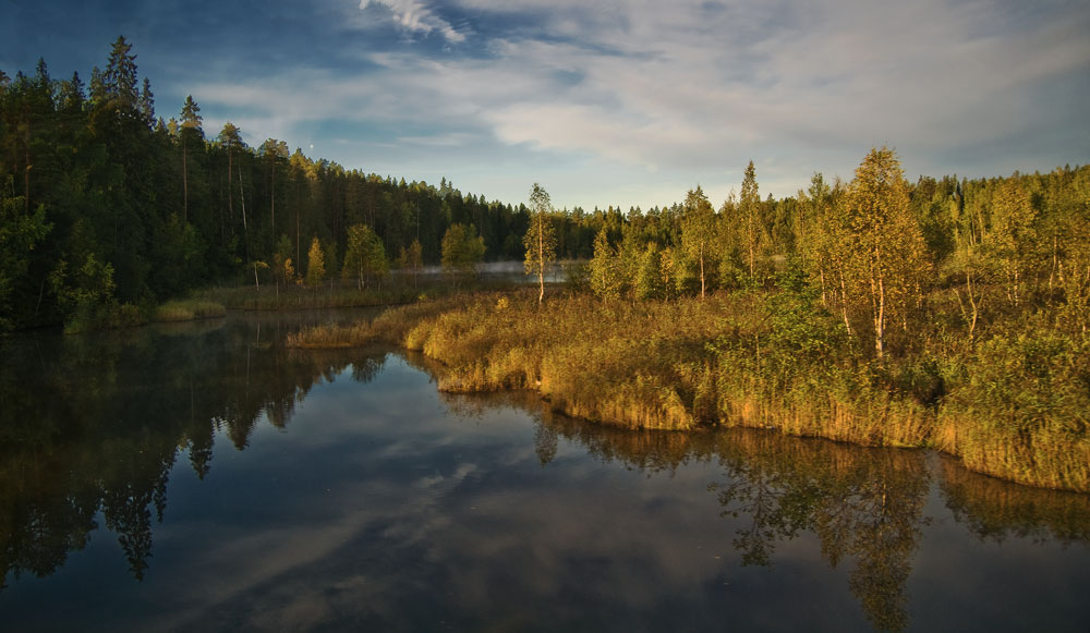 photo "***" tags: landscape, autumn, forest