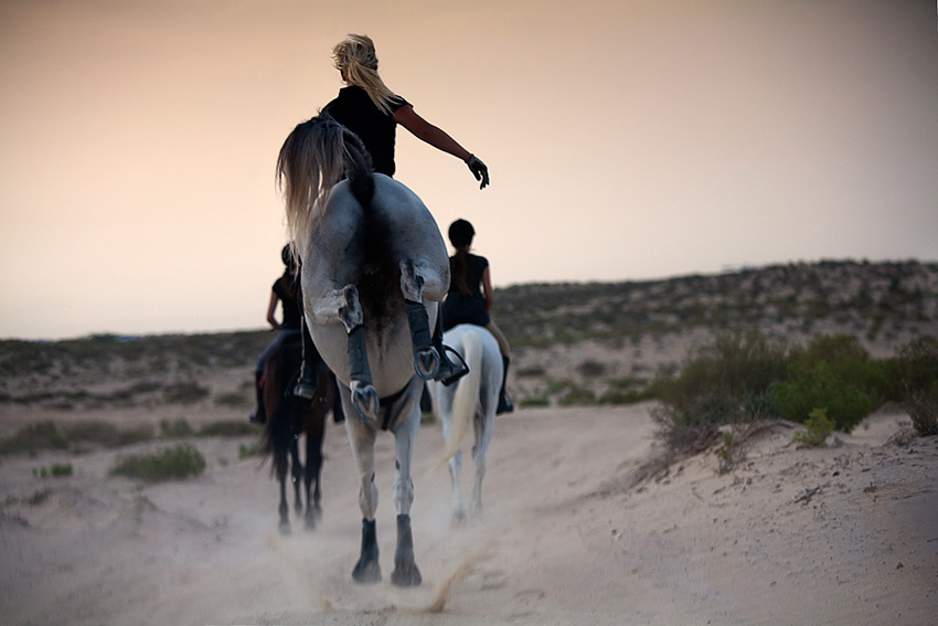 фото "Desert riding" метки: жанр, 