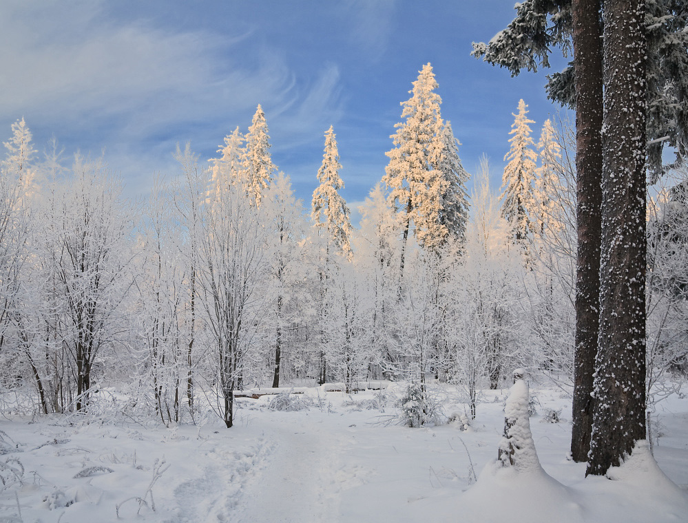 photo "***" tags: landscape, winter