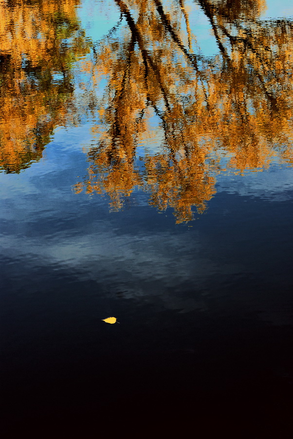 фото "один" метки: пейзаж, вода, осень