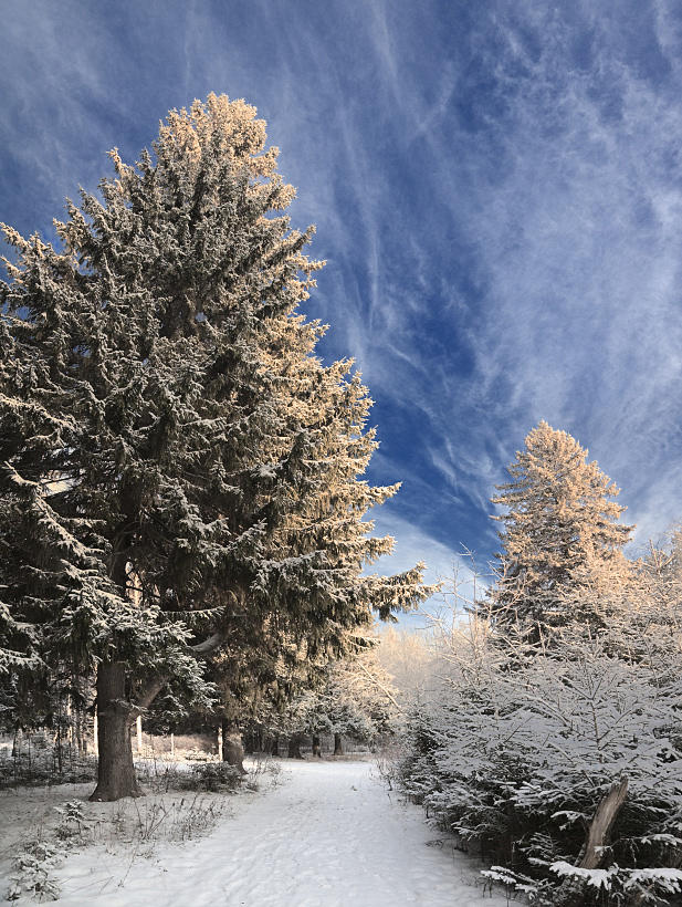 photo "***" tags: landscape, winter