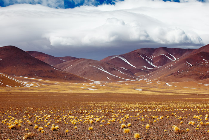 photo "Yellow Grasses, Brwon Mountains" tags: landscape, clouds, mountains