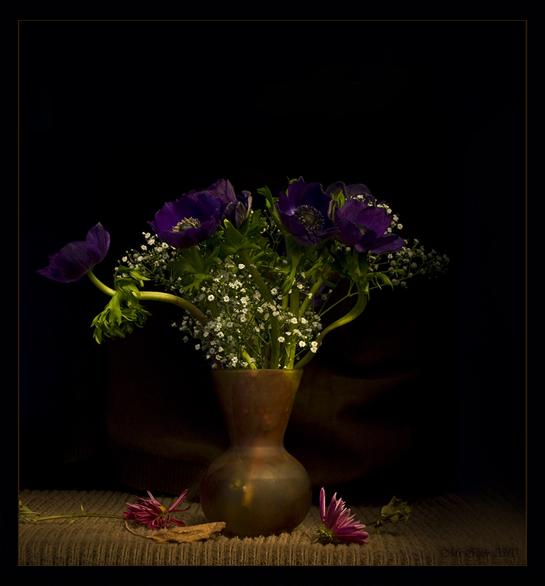 photo "Bouquet" tags: still life, nature, flowers