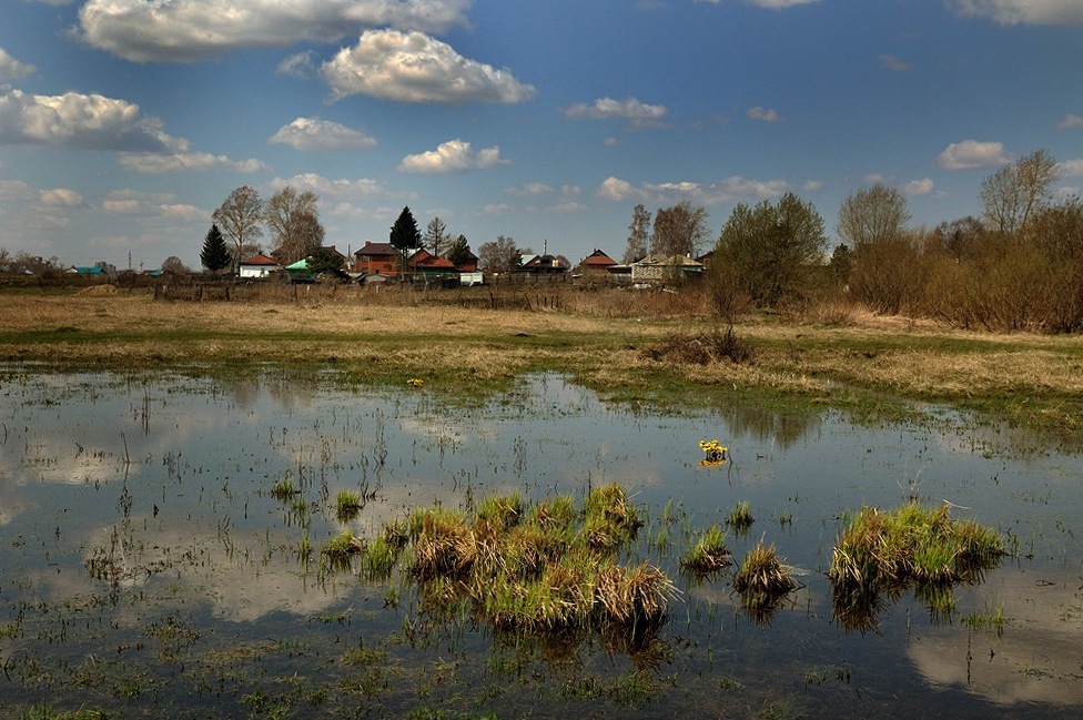 photo "Beside pond..." tags: landscape, spring, water